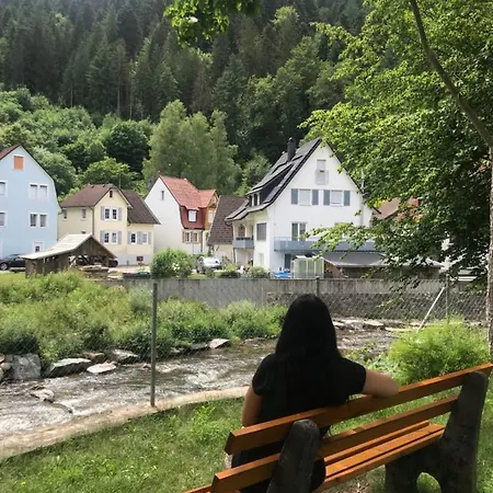 S-villa Im Schwarzwald דירה *