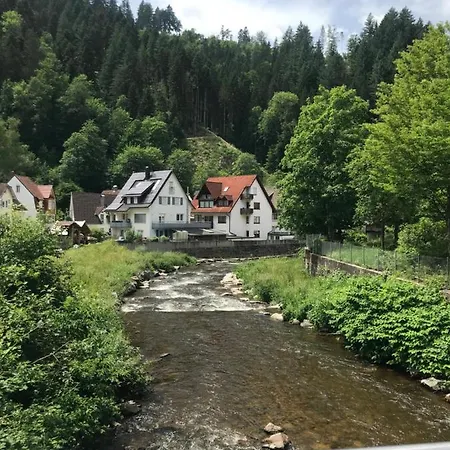 S-villa Im Schwarzwald *