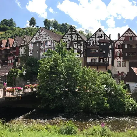 S-villa Im Schwarzwald *