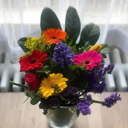 S-villa Im Schwarzwald Apartment *