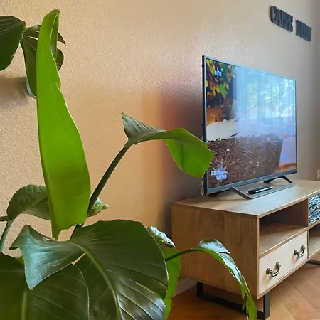 S-villa Im Schwarzwald Διαμέρισμα