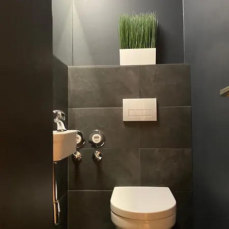 S-villa Im Schwarzwald Schiltach