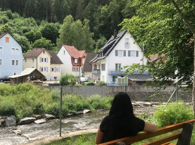 S-villa Im Schwarzwald Appartement *