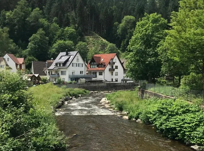 S-villa Im Schwarzwald *