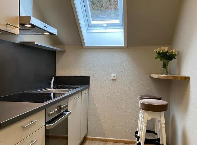 Appartement S-villa Im Schwarzwald Schiltach