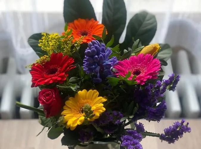 S-villa Im Schwarzwald Appartement *