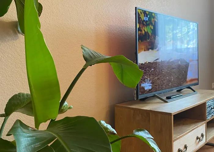 S-villa Im Schwarzwald Appartement